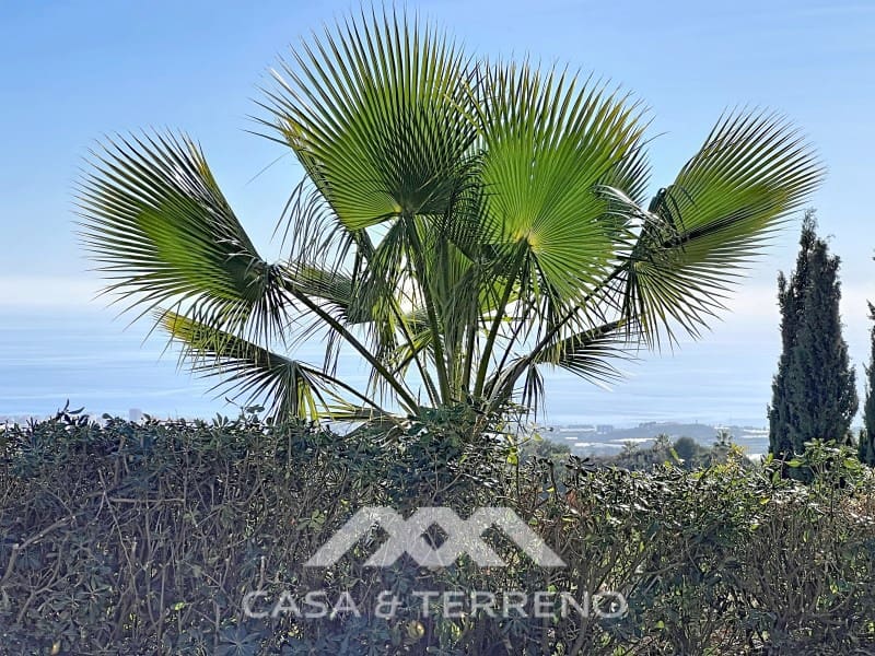 3 makuuhuone Huvila myytävänä paikassa Algarrobo mukana uima-altaan 
autotalli - 765 000 € (Ref: 9571357)