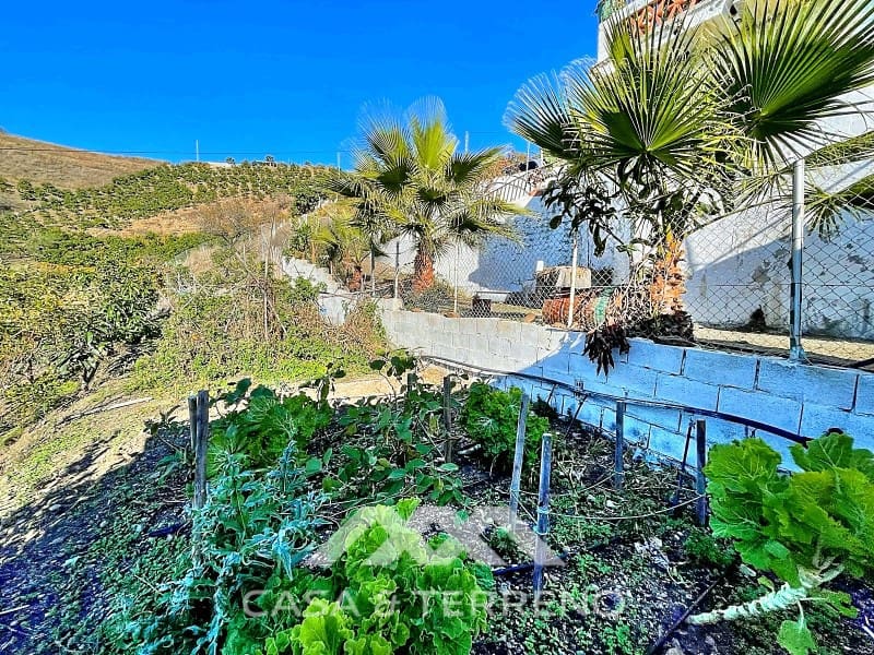 3 chambre Finca/Maison de Campagne à vendre à Macharaviaya avec garage - 300 000 € (Ref: 9574885)