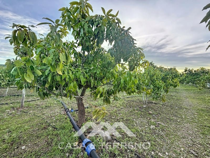 4 camera da letto Finca/Casa di Campagna in vendita in Velez-Malaga - 650.000 € (Rif: 9582679)