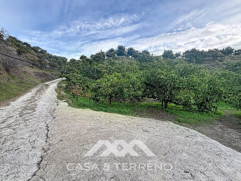 4 camera da letto Finca/Casa di Campagna in vendita in Velez-Malaga - 650.000 € (Rif: 9582679)