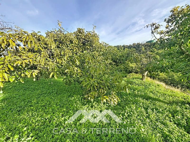 4 camera da letto Finca/Casa di Campagna in vendita in Velez-Malaga - 650.000 € (Rif: 9582679)