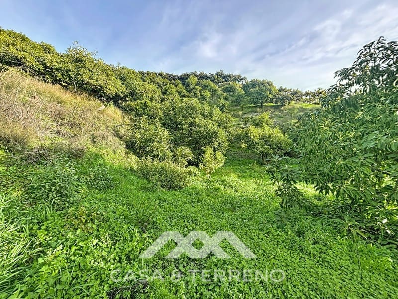 4 camera da letto Finca/Casa di Campagna in vendita in Velez-Malaga - 650.000 € (Rif: 9582679)