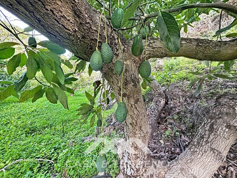 4 camera da letto Finca/Casa di Campagna in vendita in Velez-Malaga - 650.000 € (Rif: 9582679)