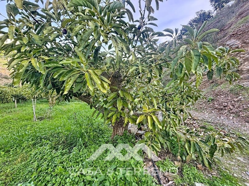 4 camera da letto Finca/Casa di Campagna in vendita in Velez-Malaga - 650.000 € (Rif: 9582679)