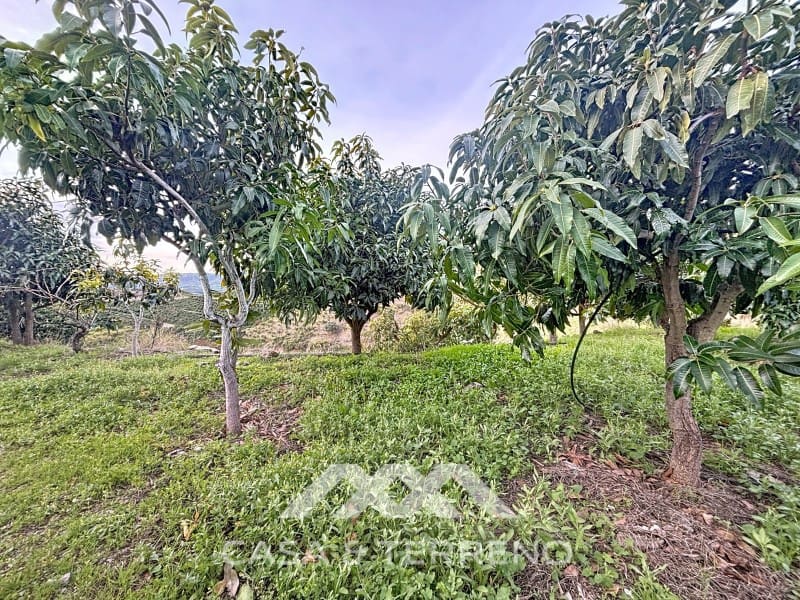 4 camera da letto Finca/Casa di Campagna in vendita in Velez-Malaga - 650.000 € (Rif: 9582679)