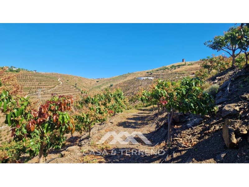 4 camera da letto Villa in vendita in Velez-Malaga con piscina - 310.000 € (Rif: 9630249)