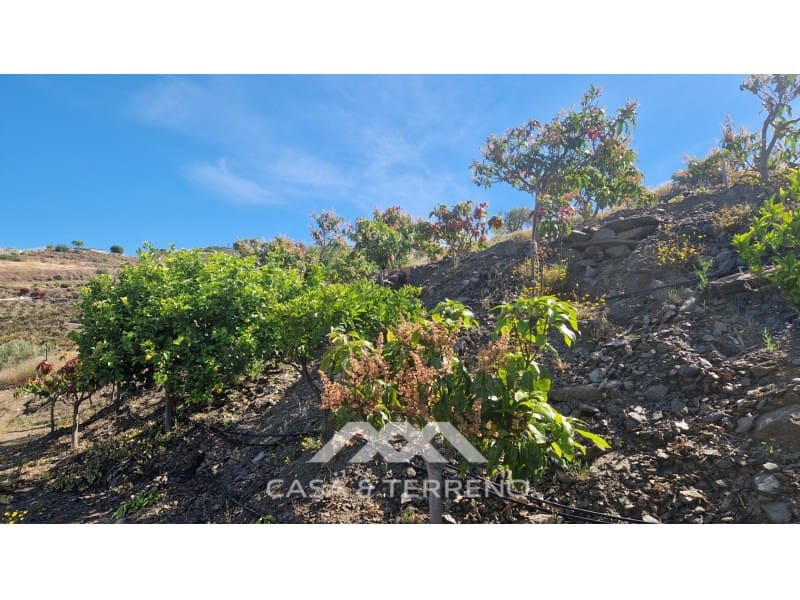 4 camera da letto Villa in vendita in Velez-Malaga con piscina - 310.000 € (Rif: 9630249)