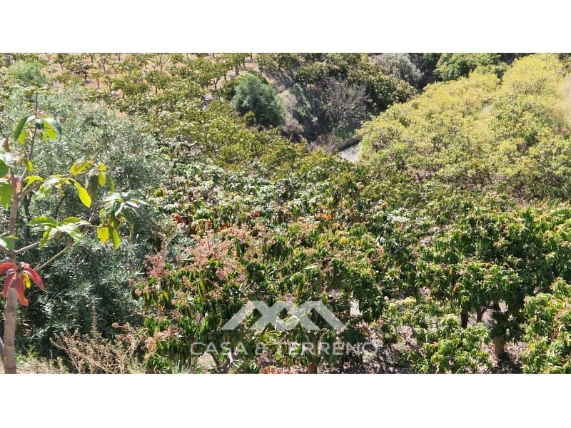 5 camera da letto Villa in vendita in Velez-Malaga con piscina garage - 695.000 € (Rif: 9630250)