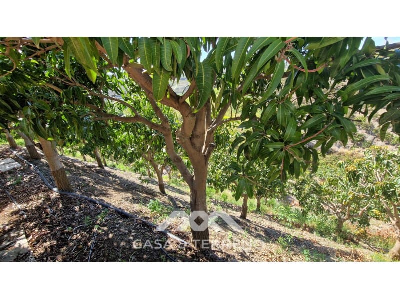 5 camera da letto Villa in vendita in Velez-Malaga con piscina garage - 695.000 € (Rif: 9630250)