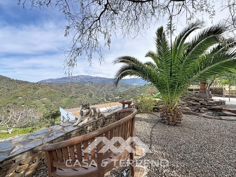 6 soveværelse Villa til salg i Sayalonga med swimmingpool - € 890.000 (Ref: 9719825)