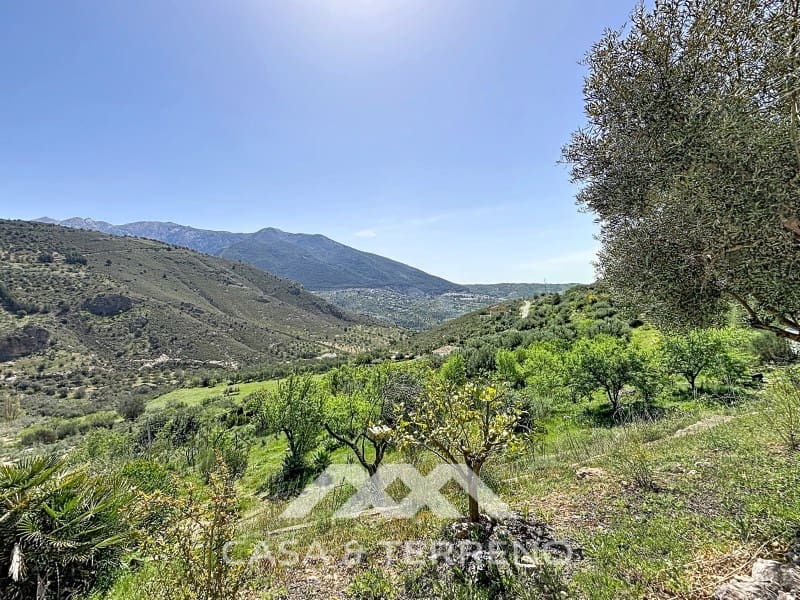 4 quarto Moradia para venda em Alcaucin com piscina - 499 000 € (Ref: 9761906)