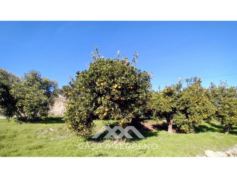 5 chambre Finca/Maison de Campagne à vendre à Alozaina avec piscine garage - 480 000 € (Ref: 9772965)