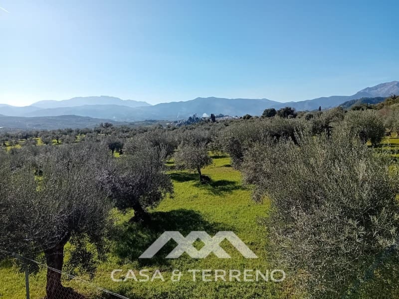 5 chambre Finca/Maison de Campagne à vendre à Alozaina avec piscine garage - 480 000 € (Ref: 9772965)