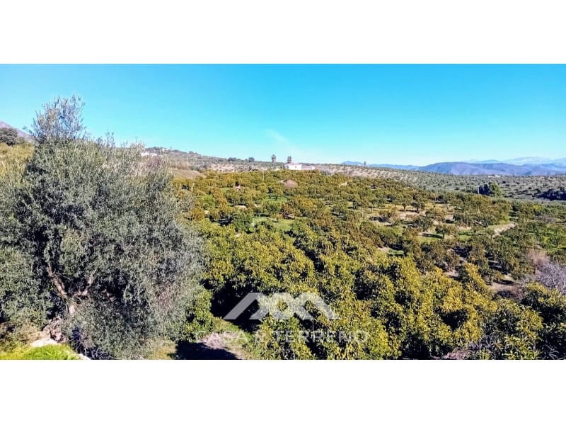 5 chambre Finca/Maison de Campagne à vendre à Alozaina avec piscine garage - 480 000 € (Ref: 9772965)