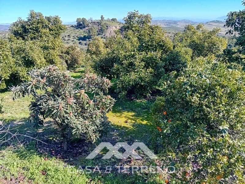 5 chambre Finca/Maison de Campagne à vendre à Alozaina avec piscine garage - 480 000 € (Ref: 9772965)