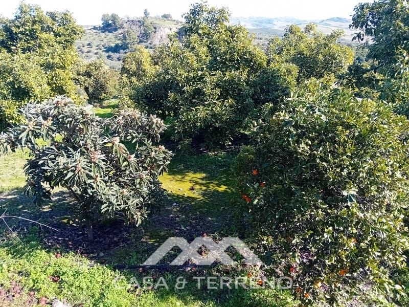 5 chambre Finca/Maison de Campagne à vendre à Alozaina avec piscine garage - 480 000 € (Ref: 9772965)