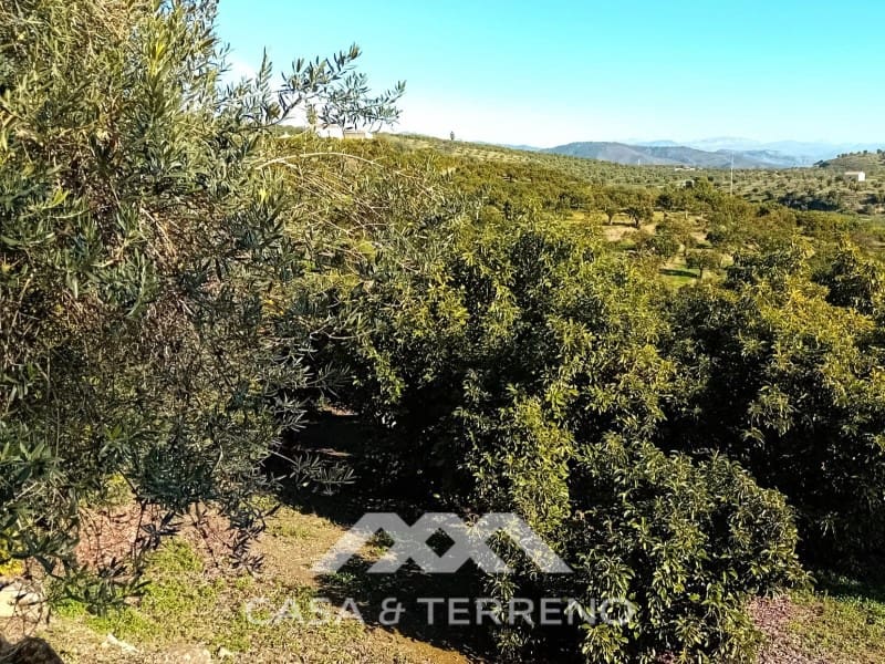 5 chambre Finca/Maison de Campagne à vendre à Alozaina avec piscine garage - 480 000 € (Ref: 9772965)