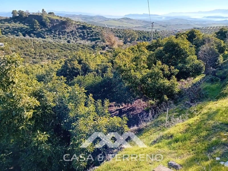 5 chambre Finca/Maison de Campagne à vendre à Alozaina avec piscine garage - 480 000 € (Ref: 9772965)