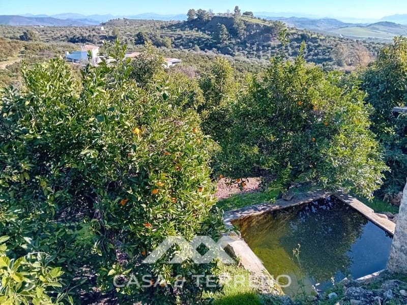 5 chambre Finca/Maison de Campagne à vendre à Alozaina avec piscine garage - 480 000 € (Ref: 9772965)