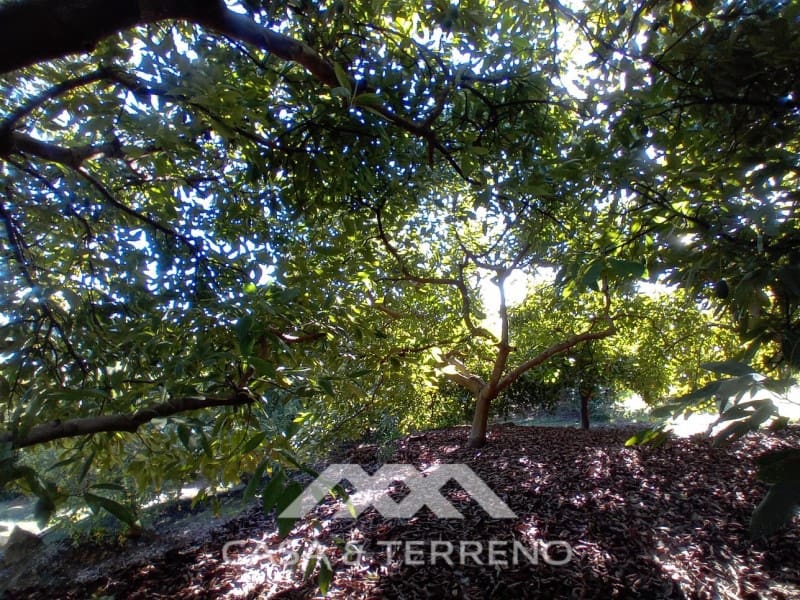 5 chambre Finca/Maison de Campagne à vendre à Alozaina avec piscine garage - 480 000 € (Ref: 9772965)