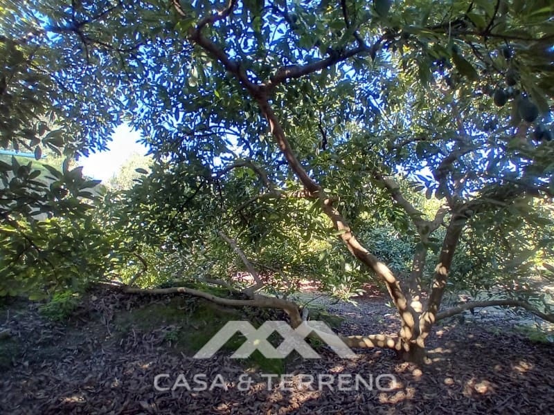 5 chambre Finca/Maison de Campagne à vendre à Alozaina avec piscine garage - 480 000 € (Ref: 9772965)