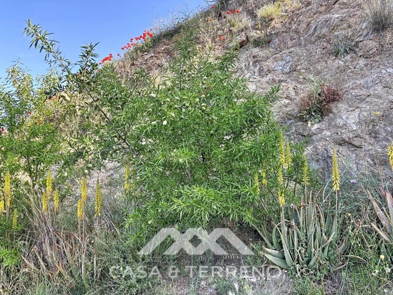 4 makuuhuone Maalaistalo myytävänä paikassa Canillas de Aceituno - 260 000 € (Ref: 9797008)