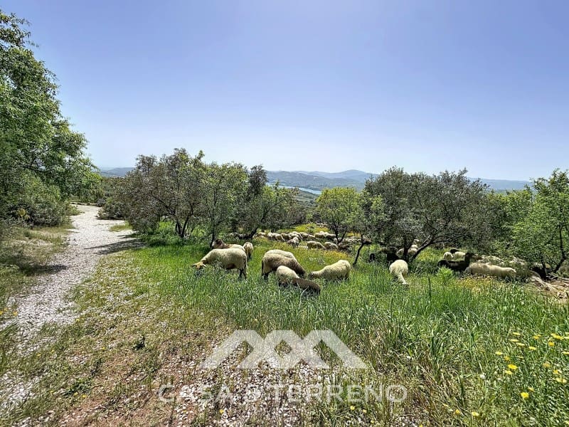 8 Zimmer Villa zu verkaufen in Alcaucin mit Pool - 1.395.000 € (Ref: 9801296)