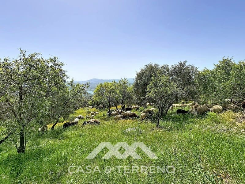 8 Zimmer Villa zu verkaufen in Alcaucin mit Pool - 1.395.000 € (Ref: 9801296)