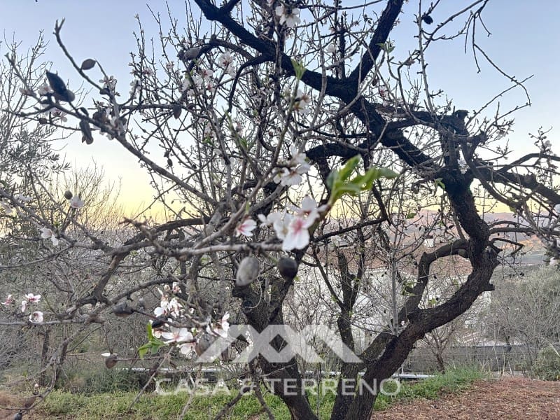 Chalet de 8 habitaciones en Alcaucín en venta con piscina - 1.250.000 € (Ref: 9801296)