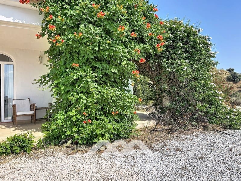 Chalet de 4 habitaciones en Canillas de Aceituno en venta - 449.000 € (Ref: 9884465)