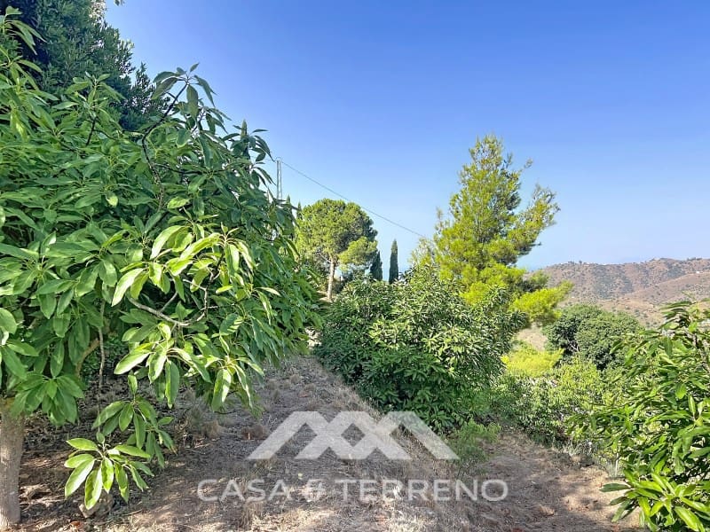 1 bedroom Finca/Country House for sale in Competa - € 259,000 (Ref: 9973056)