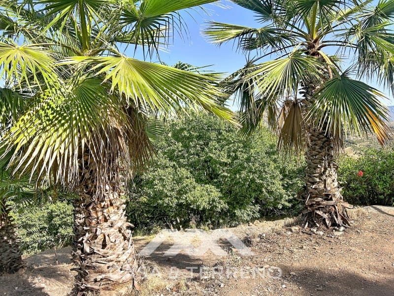 1 bedroom Finca/Country House for sale in Competa - € 259,000 (Ref: 9973056)