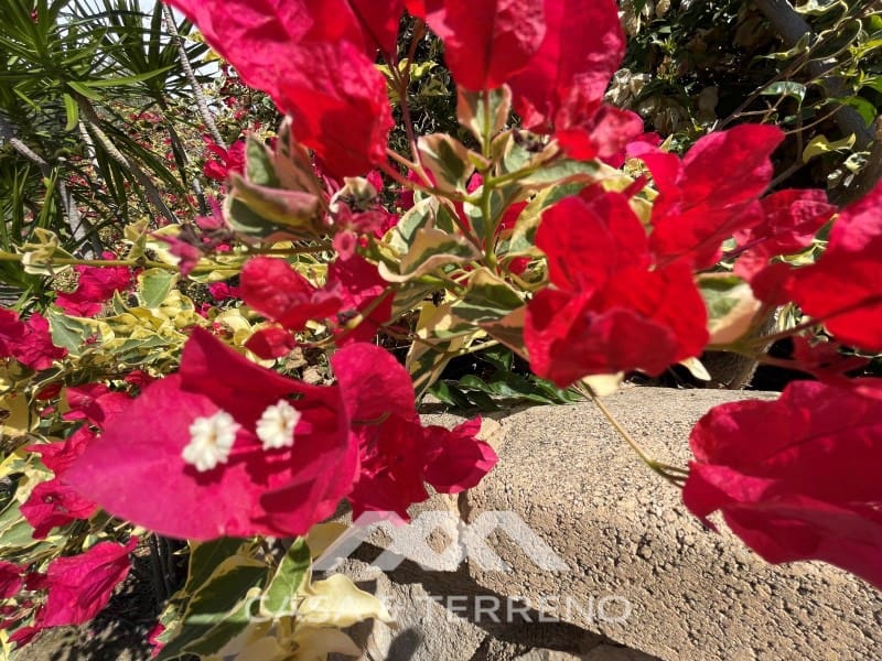 Chalet de 4 habitaciones en Arenas en venta con piscina - 699.999 € (Ref: 9999579)