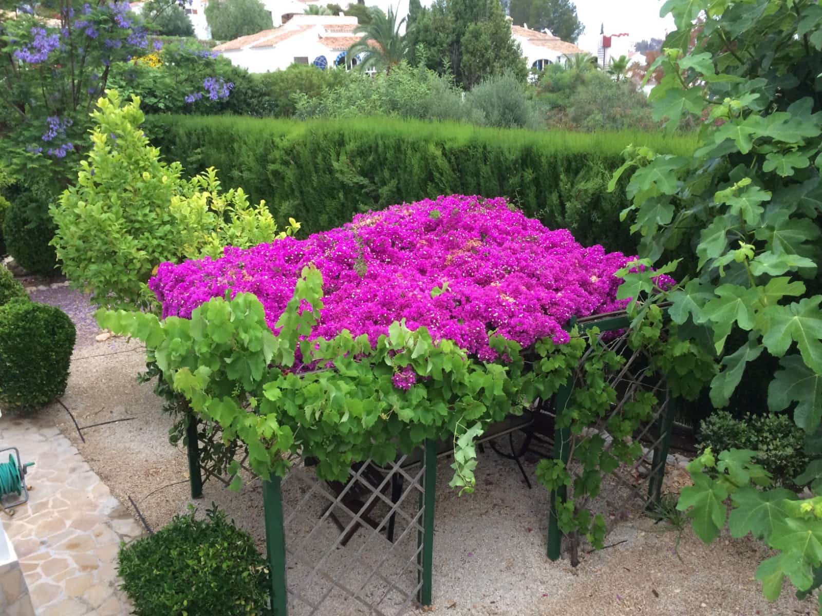 3 slaapkamer Villa te koop in Javea / Xabia met zwembad garage - € 770.000 (Ref: 10086875)