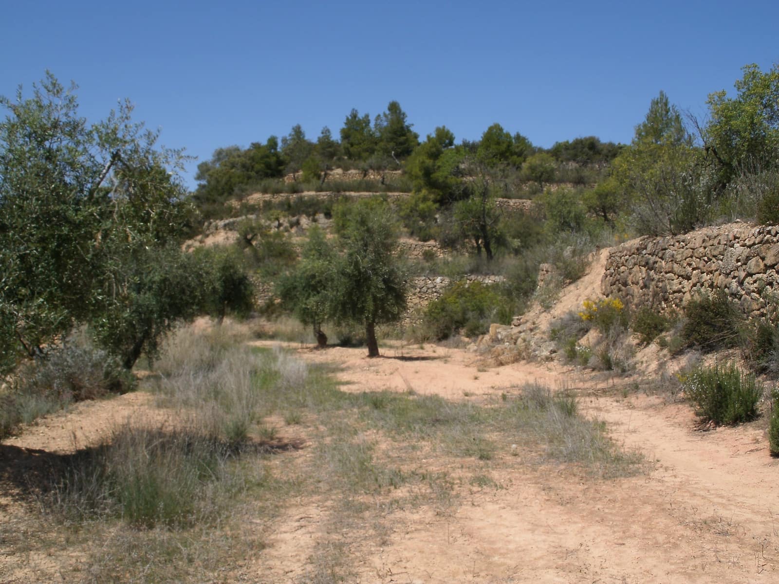 Finca/Country House for sale in La Palma d'Ebre - € 20,000 (Ref: 3154194)