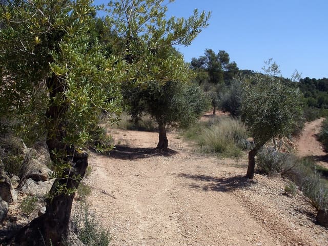 Finca/Landehus til salg i La Palma d'Ebre - € 20.000 (Ref: 3154194)