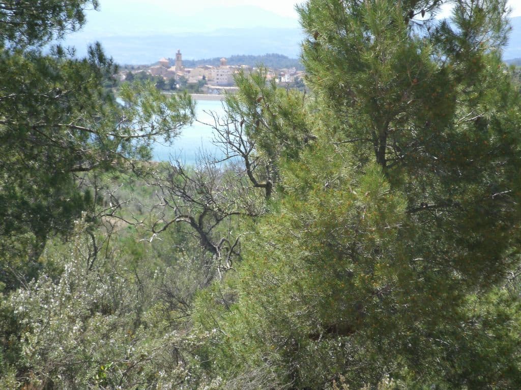 Finca/Country House for sale in La Palma d'Ebre - € 20,000 (Ref: 3154194)