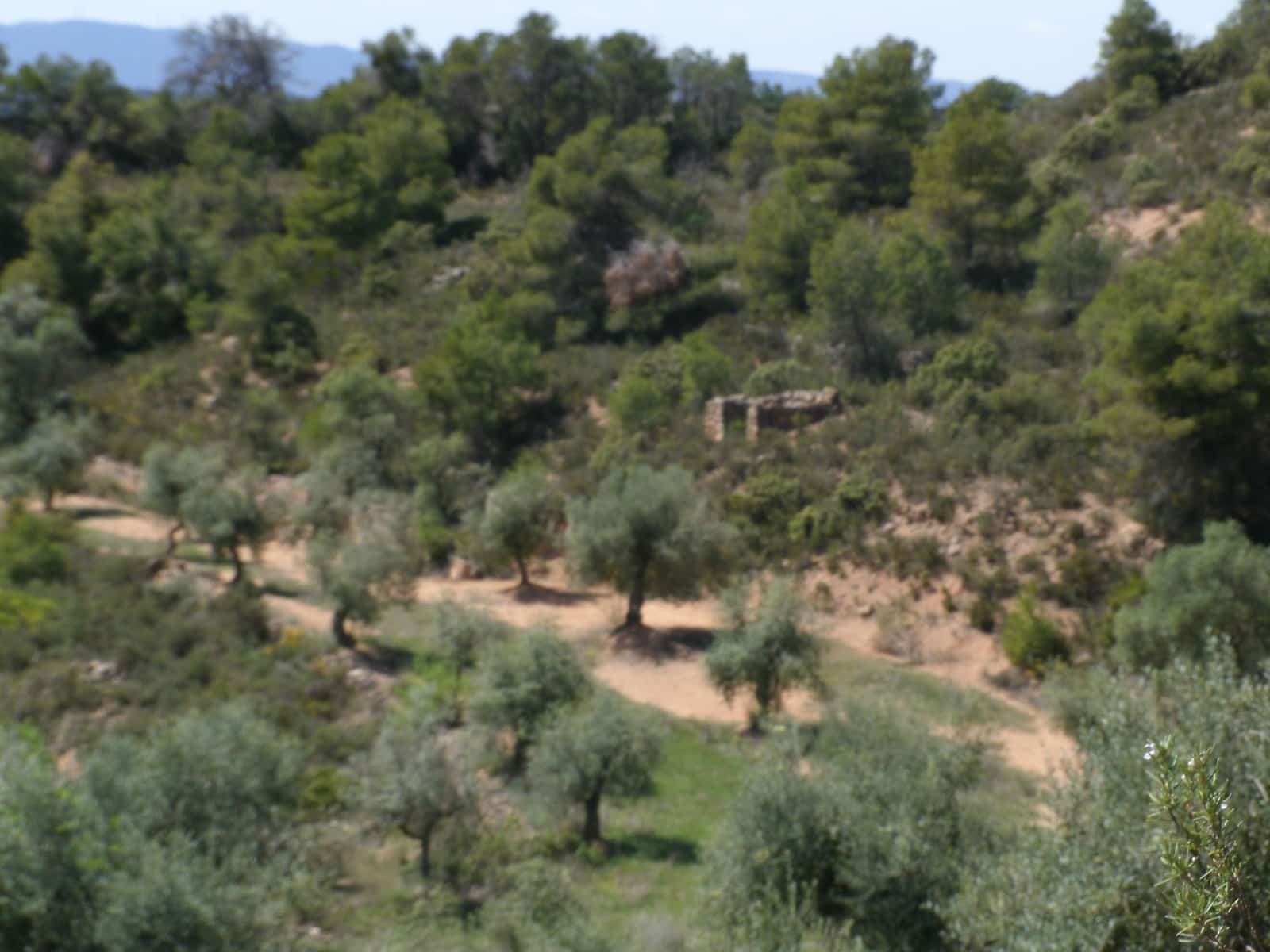 Finca/Country House for sale in La Palma d'Ebre - € 20,000 (Ref: 3154194)