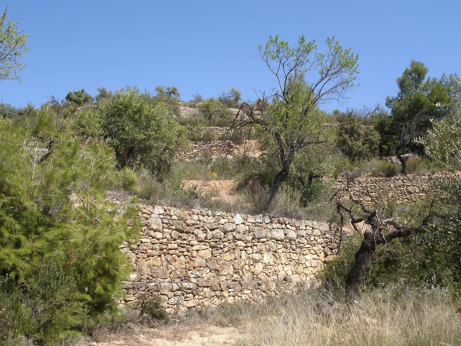 Finca/Country House for sale in La Palma d'Ebre - € 20,000 (Ref: 3154194)