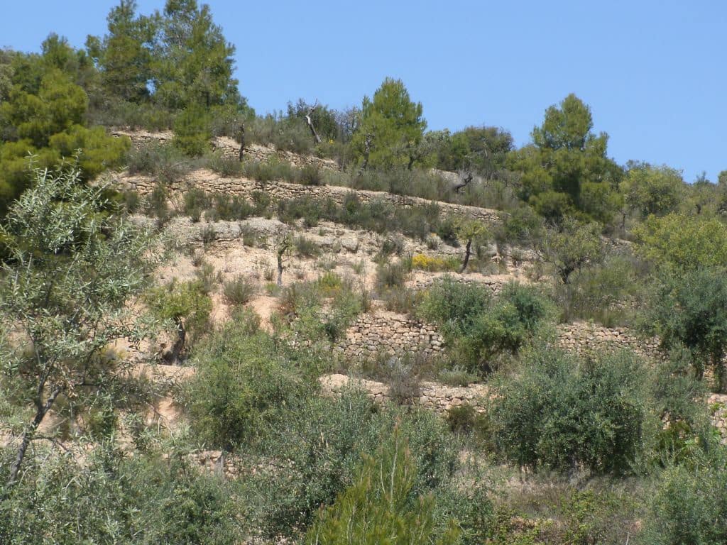 Finca/Country House for sale in La Palma d'Ebre - € 20,000 (Ref: 3154194)