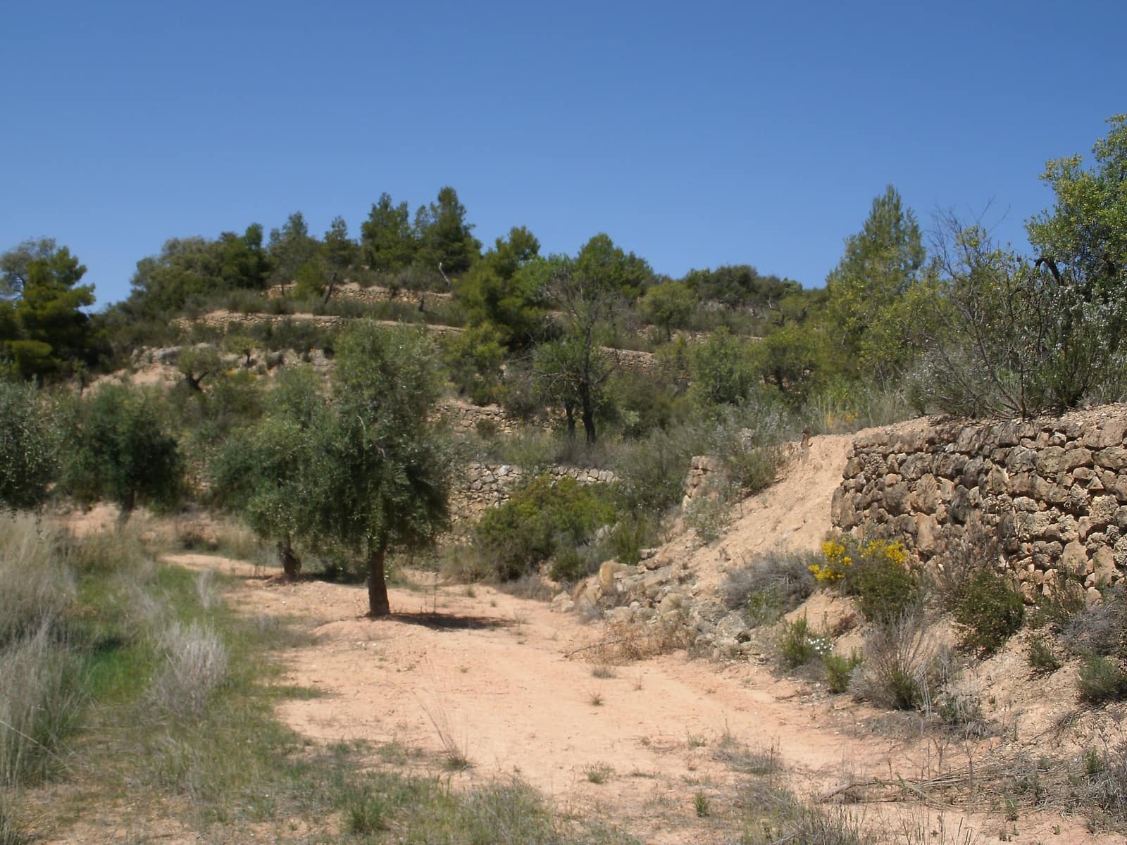 Finca/Country House for sale in La Palma d'Ebre - € 20,000 (Ref: 3154194)