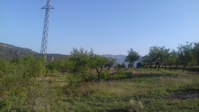 Finca/Landehus til salg i Garcia - € 8.000 (Ref: 3944147)