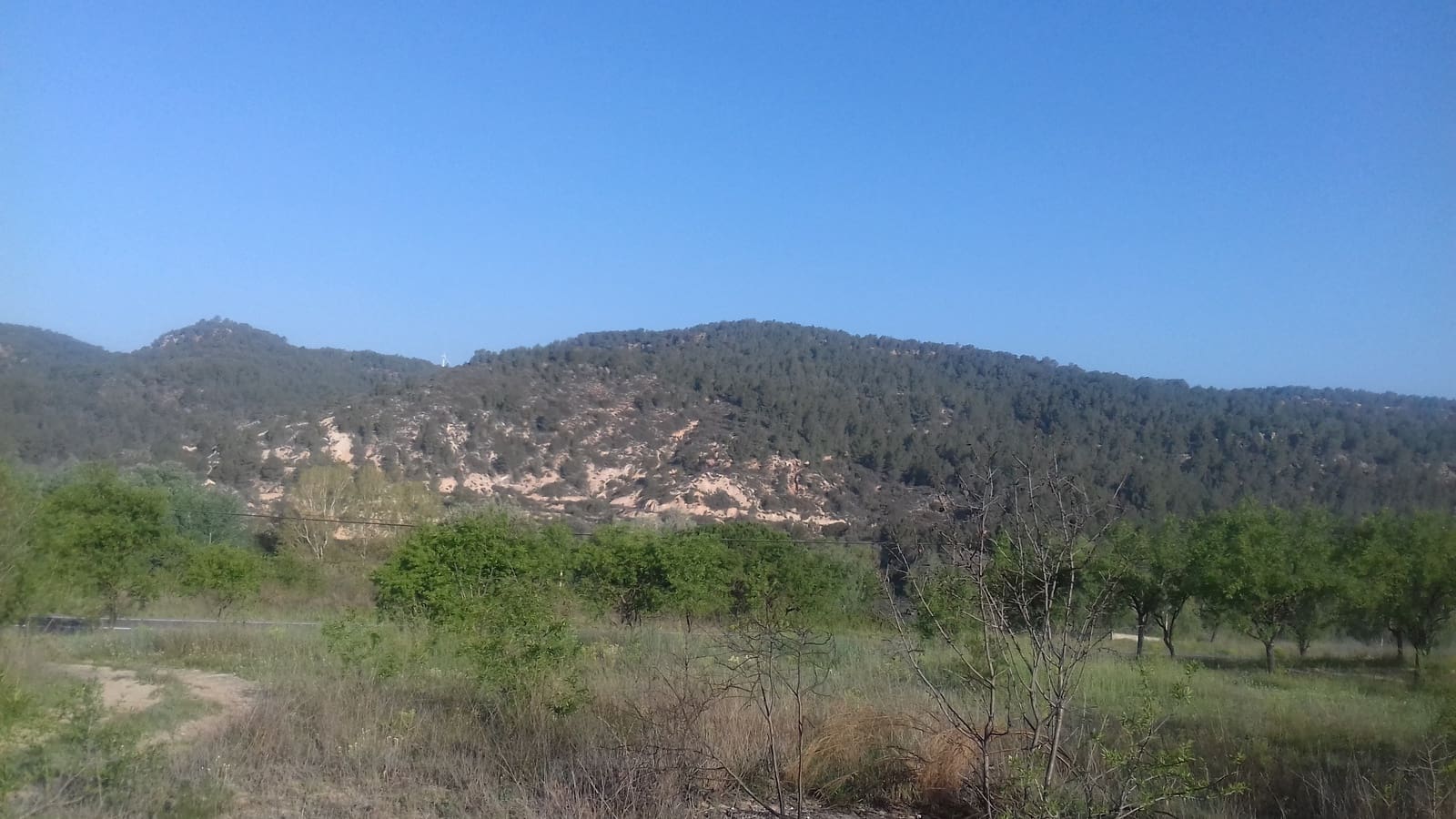 Finca/Landehus til salg i Garcia - € 8.000 (Ref: 3944147)