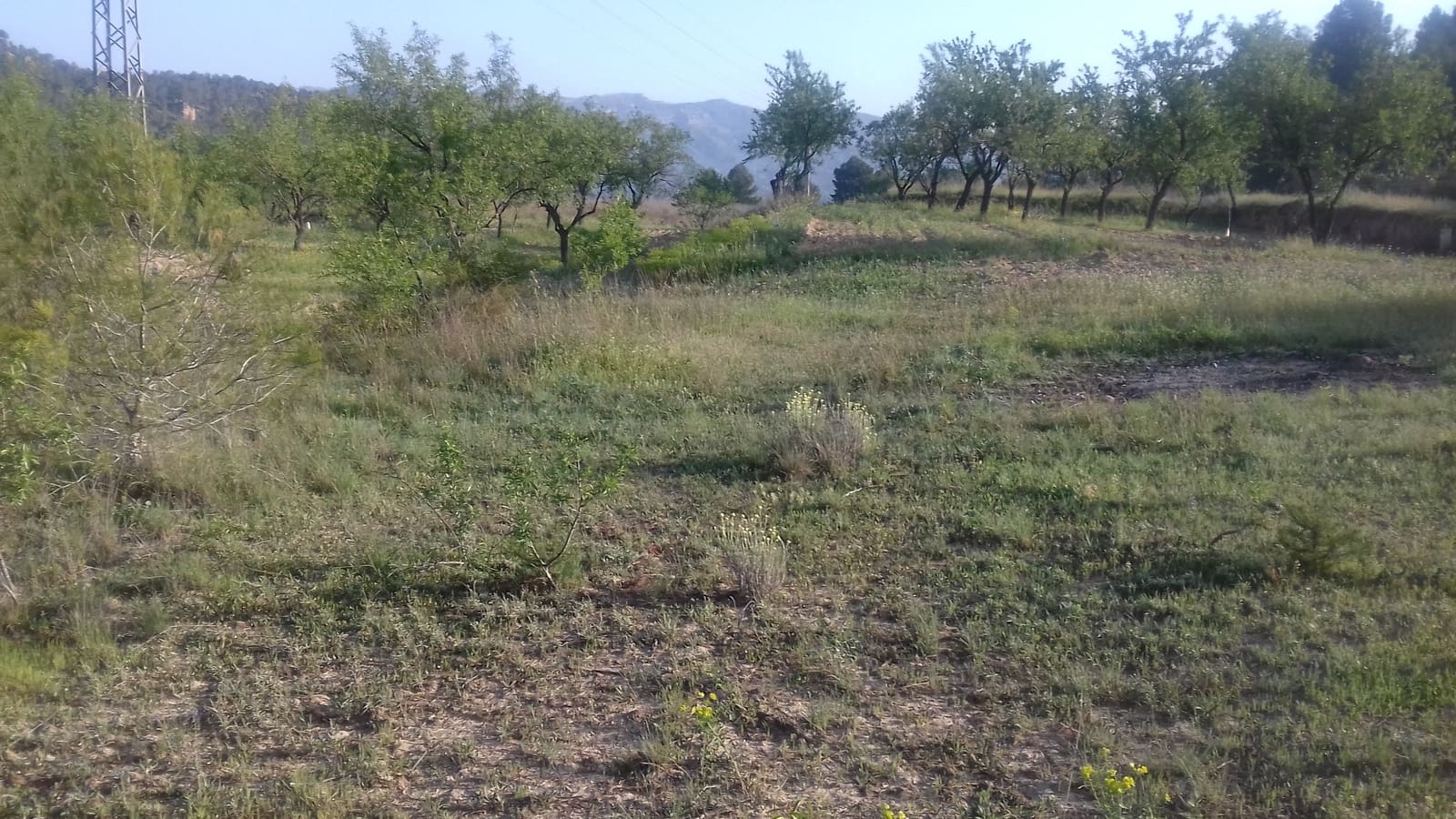 Finca/Landehus til salg i Garcia - € 8.000 (Ref: 3944147)