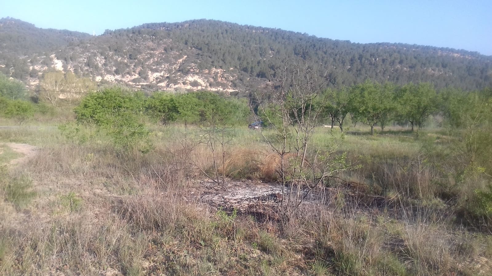 Finca/Landehus til salg i Garcia - € 8.000 (Ref: 3944147)