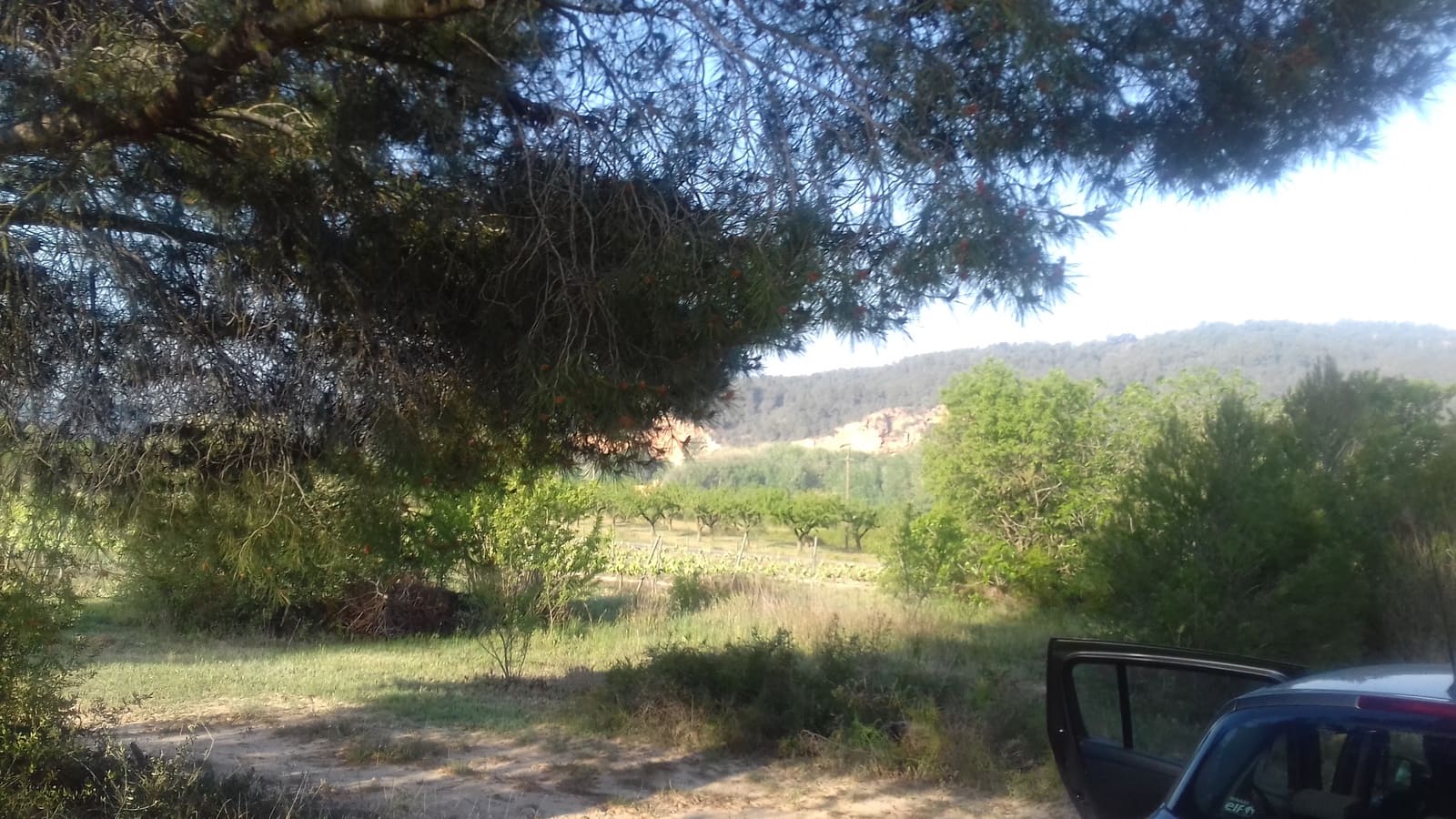 Finca/Landehus til salg i Garcia - € 8.000 (Ref: 3944147)