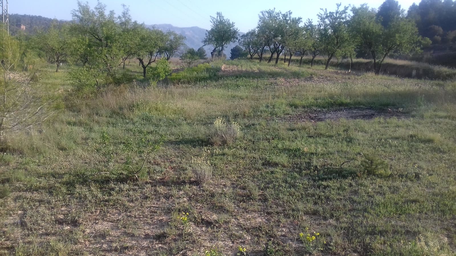 Finca/Landehus til salg i Garcia - € 8.000 (Ref: 3944147)