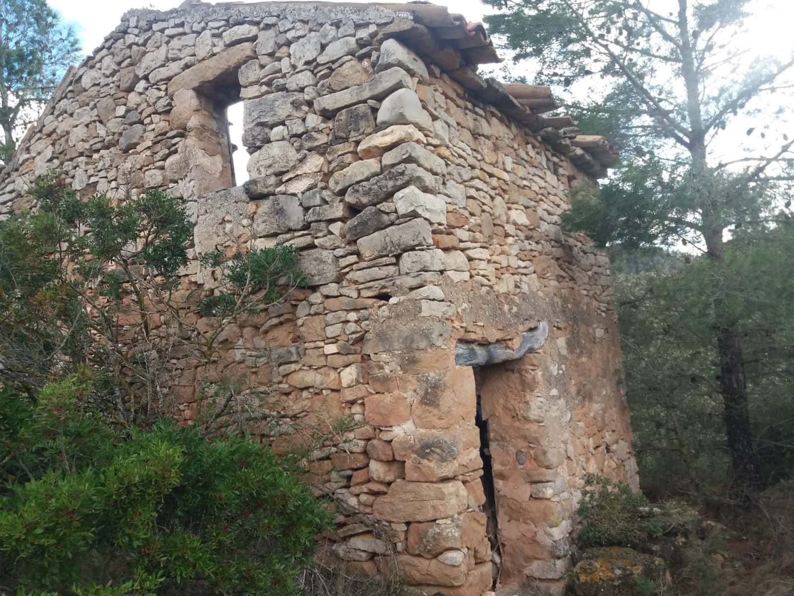 Finca/Landhuis te koop in Asco - € 15.000 (Ref: 6089780)