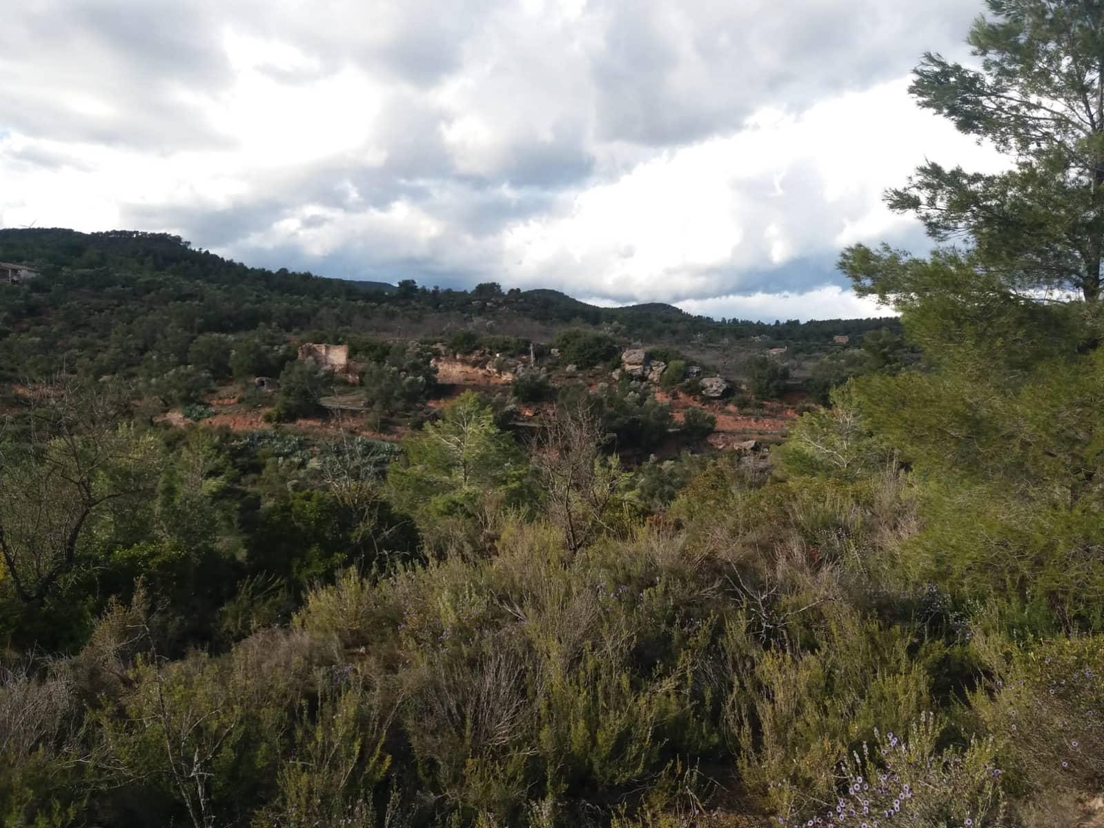 Finca/Landhuis te koop in Asco - € 15.000 (Ref: 6089780)