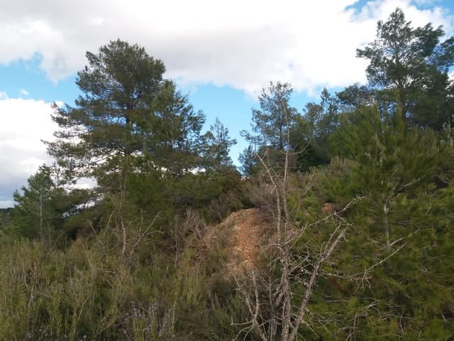 Finca/Country House for sale in Ascó - € 15,000 (Ref: 6089780)